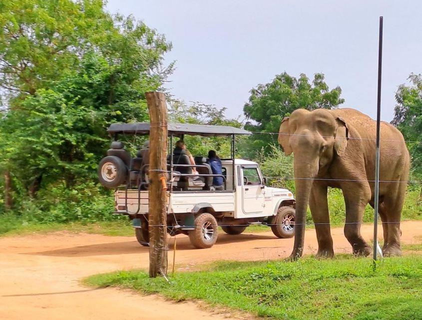 Wild Park Safari Home Stay Udawalawe Esterno foto