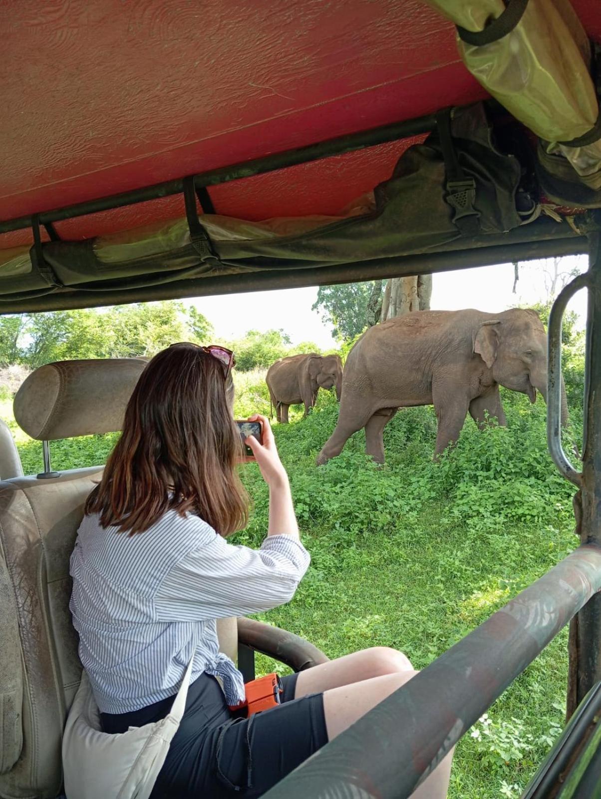 Wild Park Safari Home Stay Udawalawe Esterno foto