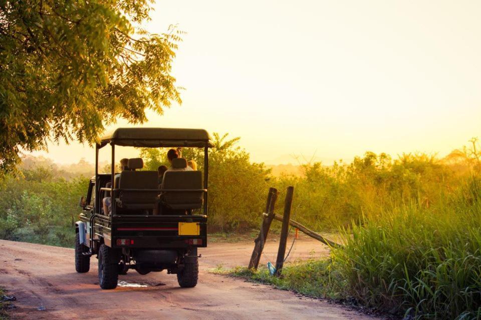 Wild Park Safari Home Stay Udawalawe Esterno foto